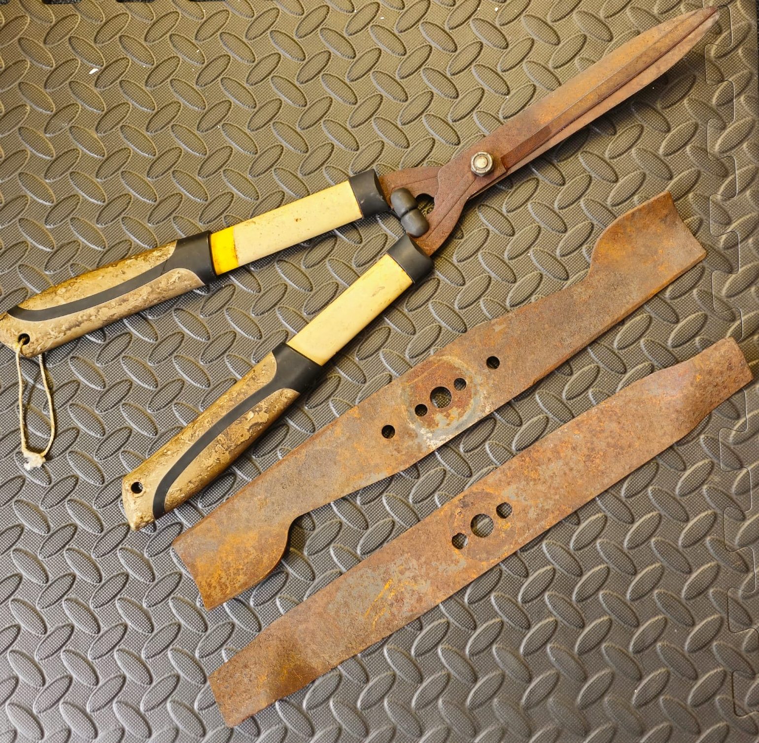 WhatsApp Image 2025-03-11 at 10.46.38_48d04b54